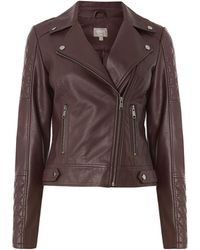 Oasis Faux Leather Biker Jacket - Brown