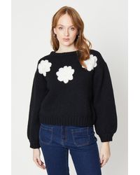 Oasis - Hand Embroidered Wool Mix Blouson Sleeve Jumper - Lyst