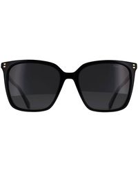 Polaroid - Square Polarized Pld 4201/Sx - Lyst