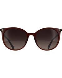Polaroid - Cat Eye Sunglass Gradient Polarized Pld 4208/Sx - Lyst
