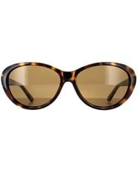 Ted Baker - Oval Havana Gradient Tb1315 Cougar - Lyst