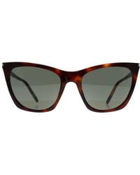 Saint Laurent - Cat Eye Sunglass Havana Sl 214 Kate Th - Lyst