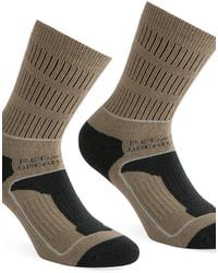 Regatta - 2 Pack Samaris 3 Season Walking Sock - Lyst