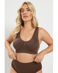 Yours - 2 Pack Seamless Padded Bralettes - Lyst