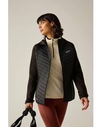 Regatta - Andreson Stretch Water-Repellent Hybrid Quilted Jacket - Lyst