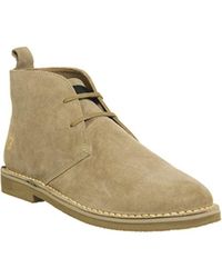 farah chukka boots