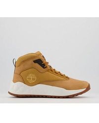 timberland trainers sale
