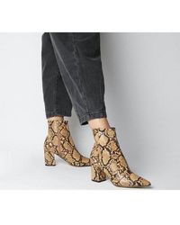 Womens Office Allure Pointed Block Heel Boots Burgundy Croc Boots