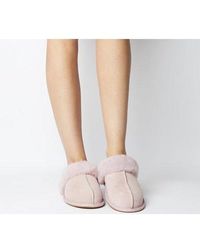 ugg scuffette slippers sale