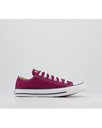 converse all star low trainers grey pink