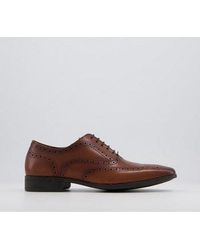 Office Macro Brogue Smart Shoes - Brown