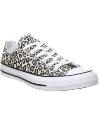 converse dance lace optical white