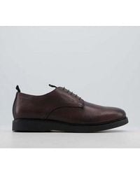 H by Hudson Barnstable Derby Shoes - Brown