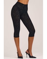 Oh Polly - Flocked Leopard Mesh Capri Trousers - Lyst