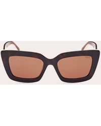 Emilio Pucci - Shiny Havana & Brown Square Sunglasses - Lyst