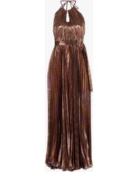 Maria Lucia Hohan Delphi Metallic Striped Plissé Jumpsuit - Multicolor