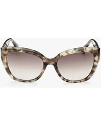 Max Mara Emme6 Oversized Cat-eye Acetate Sunglasses | Lyst