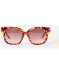 Oliver Bonas - Brown & Faux Tortoiseshell Square Acetate Sunglasses - Lyst
