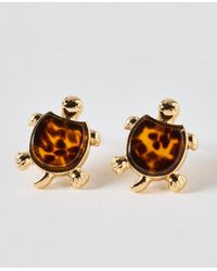 Oliver Bonas - Tammy Tort Turtle Stud Earrings - Lyst
