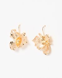 Oliver Bonas - Zale Statement Gold Flower Hook Earrings - Lyst