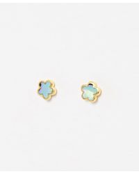 Oliver Bonas - Cynthia Paua Shell Flower Stud Earrings - Lyst