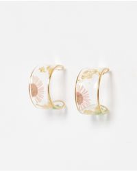 Oliver Bonas - Kendall Dried Flower Clear Gold Hoop Earrings - Lyst