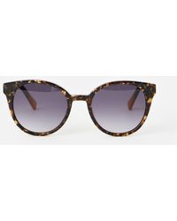Oliver Bonas - Brown & Faux Tortoiseshell Preppy Acetate Sunglasses - Lyst