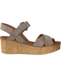 omoda birkenstock dames