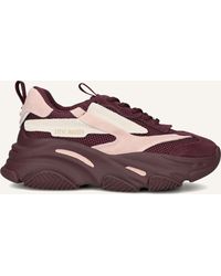Steve Madden - Damen Sneaker Possession - Lyst