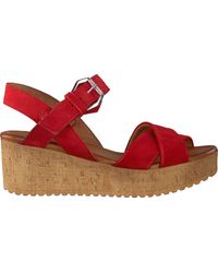 Omoda Sandalen 722021 in het Groen | Lyst BE