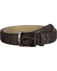 Rehab Graue Gürtel Belt Snake Stripes