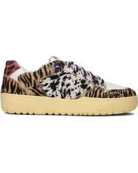 P448 - Sneaker Low Mason Wmn - Lyst