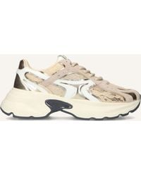 GIO+ - Damen Sneaker Dalia - Lyst