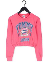 Tommy Hilfiger Top Tjw Elastic Vintage College 1 Ls - Pink