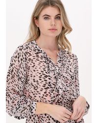 MOLIIN Copenhagen - Hell- Bluse Simone - Lyst