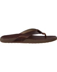 Reef Slippers Contoured Voyage Le - Bruin