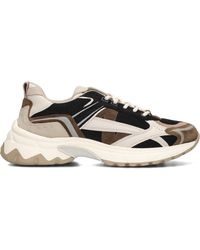 Nubikk - Sneaker Low Ross Nomad Men - Lyst