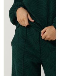 Jansen Amsterdam - Hose Marissa - Lyst