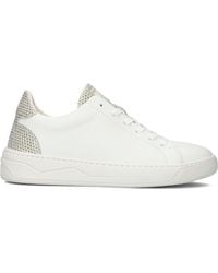Floris Van Bommel - Sneaker Low Sfw-10063 - Lyst
