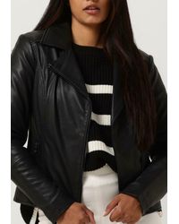 Ibana - Lederjack Babsin - Lyst