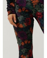 Colourful Rebel - Schlaghose Jolie Big Flower Velvet Flare Pants - Lyst