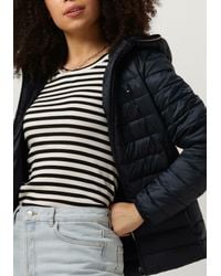 Tommy Hilfiger - Wattierte Jack Lw Padded Global Stripe Jacket - Lyst