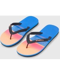 O'neill Sportswear - Profile Graphic Sandals - Lyst