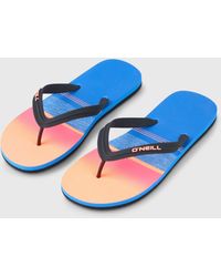O'neill Sportswear - Profile Graphic Sandals - Lyst