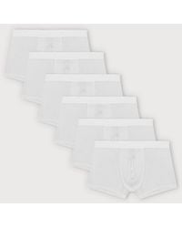 Organic Basics - Premium Trunks 6-Pack - Lyst