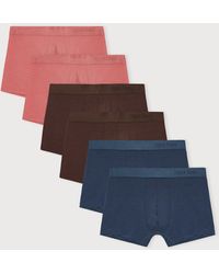 Organic Basics - Premium Trunks 6-Pack Terracotta Rich Midnight - Lyst