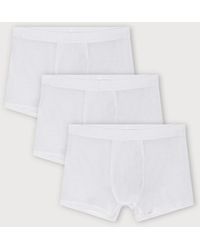 Organic Basics - Premium Trunks 3-Pack - Lyst