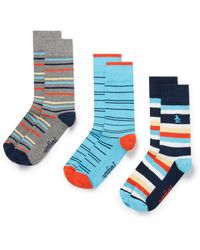 Original Penguin 3 Pack Fine Striped Socks In Navy - Blue