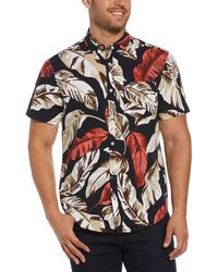 Original Penguin Shirts for Men 