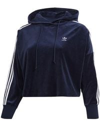adidas Velour Cropped Hoodie (plus Size) Blue